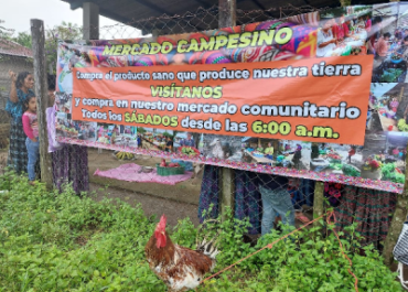 Mercados campesinos solidarios, una estrategia para el buen vivir en Zona Reina