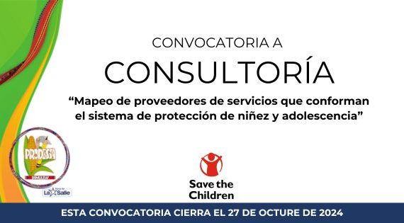 CONSULTORÍA: MAPEO DE PROVEEDORES DE SERVICIOS QUE CONFORMAN EL SISTEMA DE PROTECCIÓN DE NIÑEZ Y ADOLESCENCIA