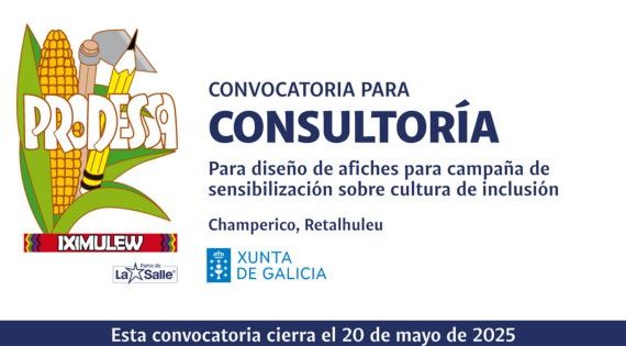 CONSULTORÍA PARA DISEÑO DE AFICHES