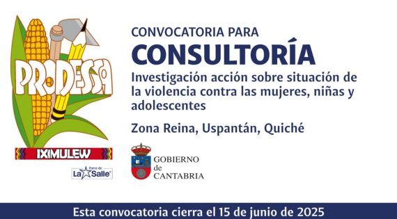 CONSULTORÍA INVESTIGACIÓN ACCIÓN SOBRE SITUACIÓN DE LA VIOLENCIA CONTRA LAS MUJERES, NIÑAS Y ADOLESCENTES