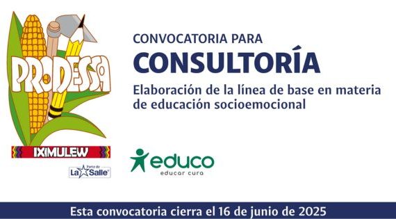 CONSULTORÍA: ELABORACIÓN DE LA LÍNEA DE BASE EN MATERIA DE EDUCACIÓN SOCIOEMOCIONAL