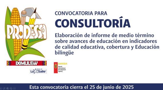 CONSULTORÍA PARA LA ELABORACIÓN DE INFORME DE MEDIO TÉRMINO
