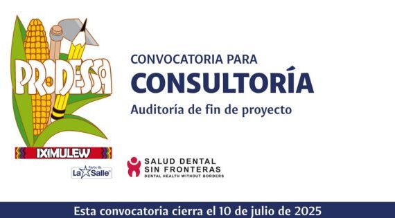 CONSULTORÍA PARA AUDITORÍA DE FIN DE PROYECTO
