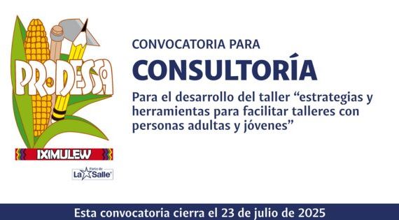 CONSULTORÍA PARA DESARROLLO DE TALLER