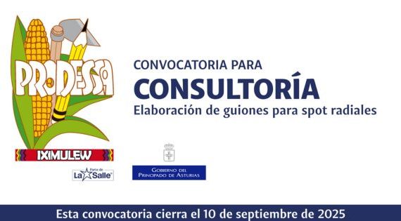 CONSULTORÍA PARA LA ELABORACIÓN DE GUIONES PARA SPOT RADIALES
