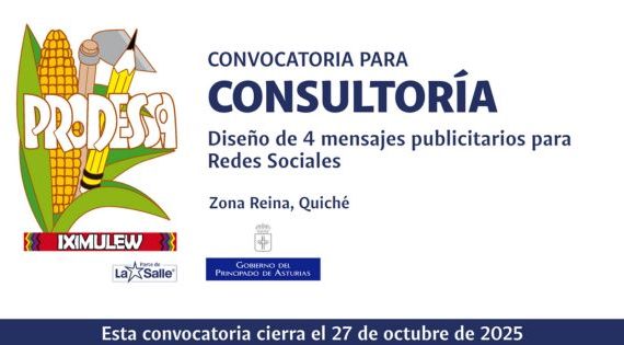 CONSULTORÍA PARA EL DISEÑO GRÁFICO DE 4 MENSAJES PUBLICITARIOS PARA REDES SOCIALES