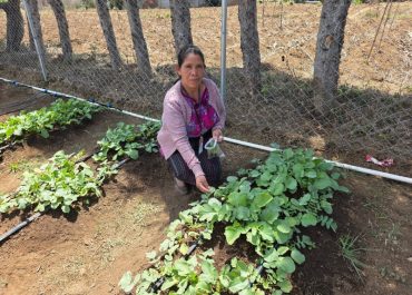 Aprendizajes sobre mitigación y adaptación al cambio climático en Chiché
