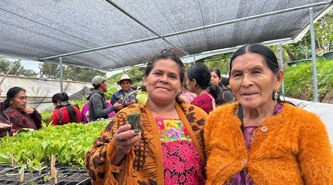 Buenas prácticas 08-2026