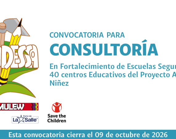 CONSULTORÍA PARA EL “FORTALECIMIENTO DE ESCUELAS SEGURAS EN 40 CENTROS EDUCATIVOS DEL PROYECTO ACCIÓN NIÑEZ”